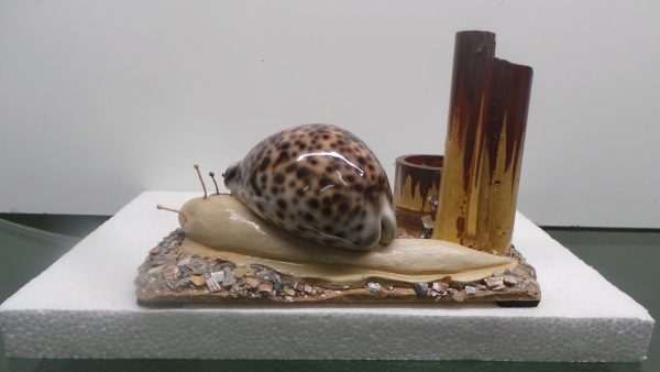 LEAD SNAIL SHELLS