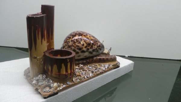 LEAD SNAIL SHELLS - Image 3